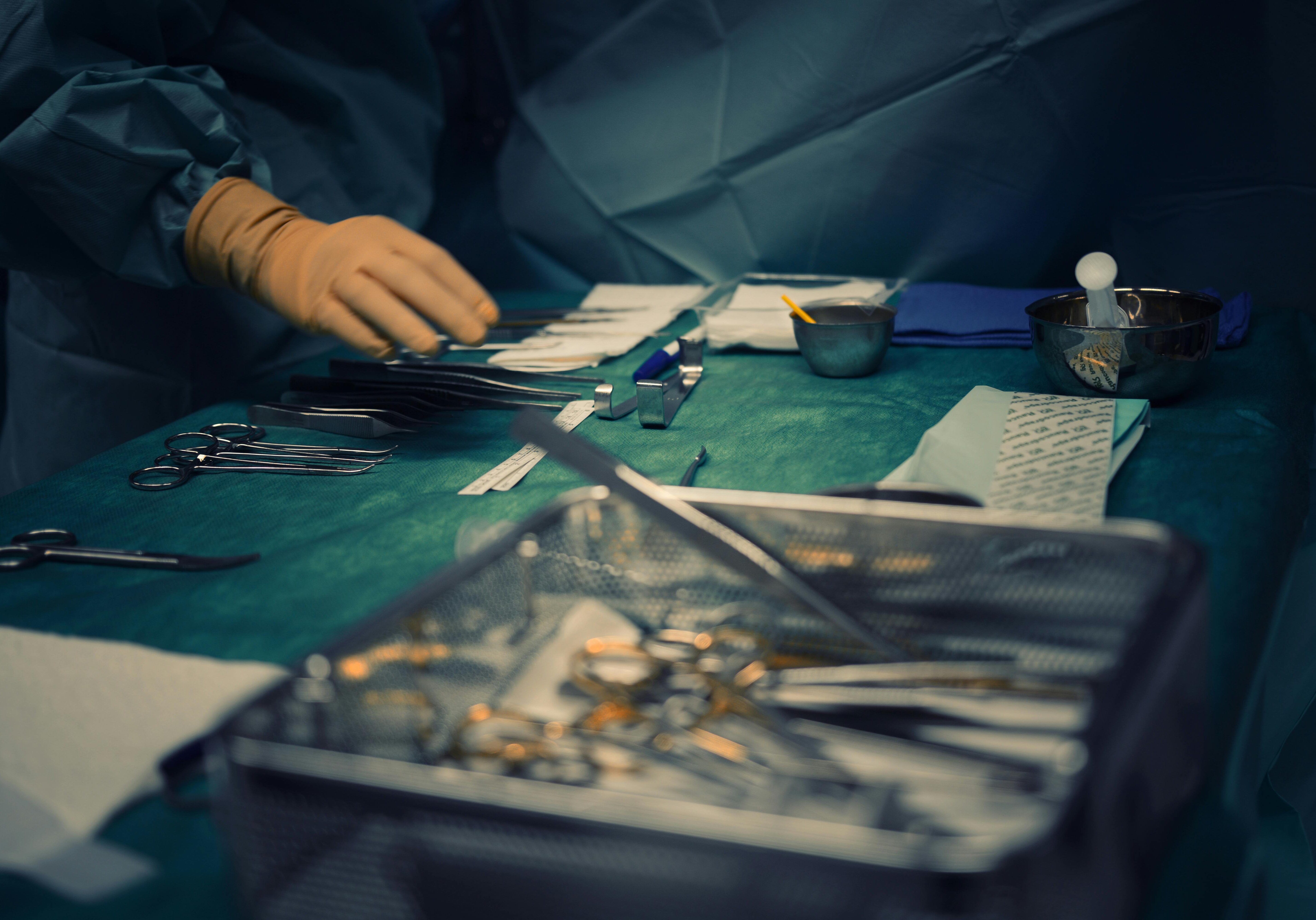 pexels-titus-fr-24193873